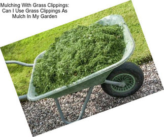 Mulching With Grass Clippings: Can I Use Grass Clippings As Mulch In My Garden