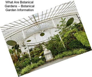 What Are Botanical Gardens – Botanical Garden Information