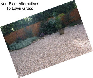 Non Plant Alternatives To Lawn Grass