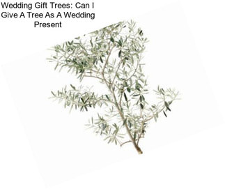Wedding Gift Trees: Can I Give A Tree As A Wedding Present