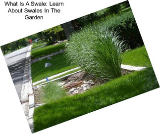 What Is A Swale: Learn About Swales In The Garden