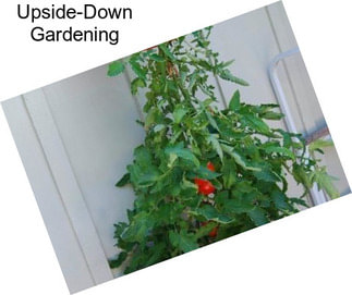 Upside-Down Gardening