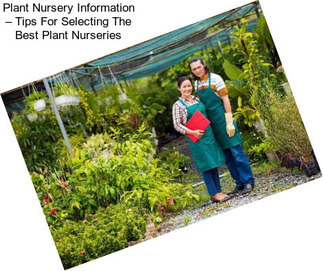 Plant Nursery Information – Tips For Selecting The Best Plant Nurseries