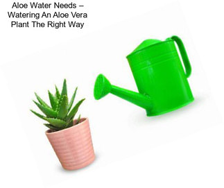 Aloe Water Needs – Watering An Aloe Vera Plant The Right Way
