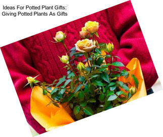 Ideas For Potted Plant Gifts: Giving Potted Plants As Gifts