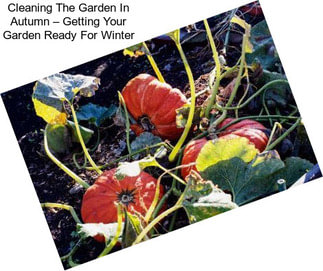 Cleaning The Garden In Autumn – Getting Your Garden Ready For Winter
