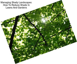 Managing Shady Landscapes: How To Reduce Shade In Lawns And Gardens