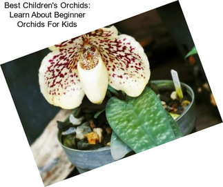 Best Children\'s Orchids: Learn About Beginner Orchids For Kids