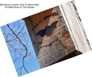 Bat House Location: How To Attract Bats To A Bat House To The Garden