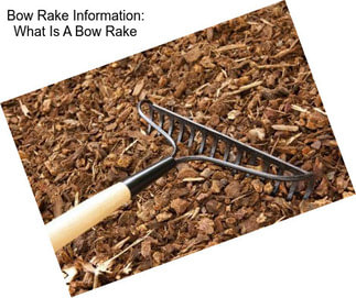 Bow Rake Information: What Is A Bow Rake