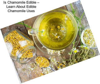 Is Chamomile Edible – Learn About Edible Chamomile Uses