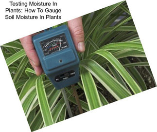 Testing Moisture In Plants: How To Gauge Soil Moisture In Plants