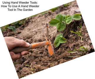 Using Hand Weeder Tools: How To Use A Hand Weeder Tool In The Garden
