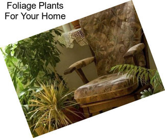 Foliage Plants For Your Home