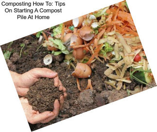 Composting How To: Tips On Starting A Compost Pile At Home