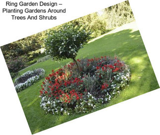 Ring Garden Design – Planting Gardens Around Trees And Shrubs