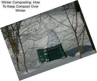 Winter Composting: How To Keep Compost Over Winter