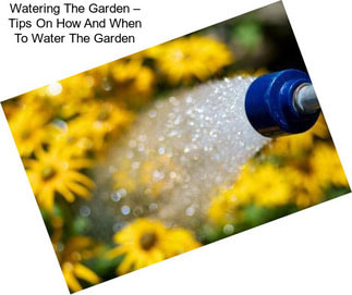Watering The Garden – Tips On How And When To Water The Garden
