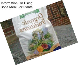 Information On Using Bone Meal For Plants