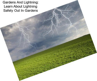 Gardens And Lightning: Learn About Lightning Safety Out In Gardens