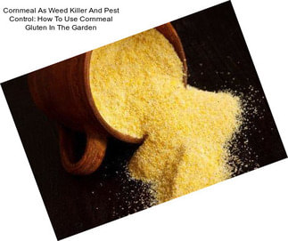 Cornmeal As Weed Killer And Pest Control: How To Use Cornmeal Gluten In The Garden