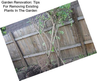 Garden Renovation: Tips For Removing Existing Plants In The Garden