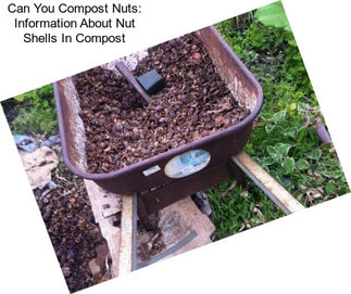 Can You Compost Nuts: Information About Nut Shells In Compost