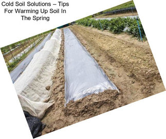 Cold Soil Solutions – Tips For Warming Up Soil In The Spring