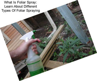 What Is Foliar Spray: Learn About Different Types Of Foliar Spraying