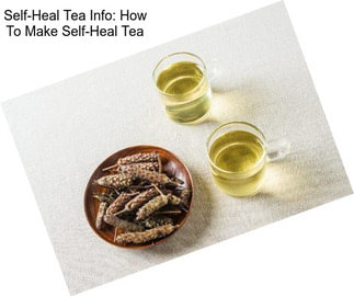 Self-Heal Tea Info: How To Make Self-Heal Tea