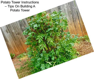 Potato Tower Instructions – Tips On Building A Potato Tower
