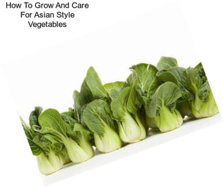 How To Grow And Care For Asian Style Vegetables