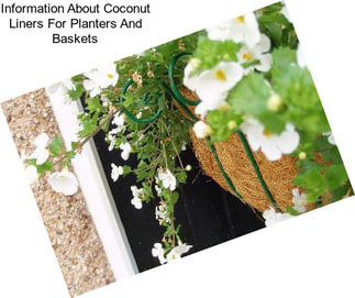 Information About Coconut Liners For Planters And Baskets