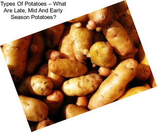 Types Of Potatoes – What Are Late, Mid And Early Season Potatoes?