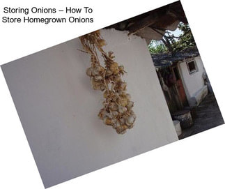 Storing Onions – How To Store Homegrown Onions