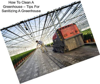 How To Clean A Greenhouse – Tips For Sanitizing A Greenhouse
