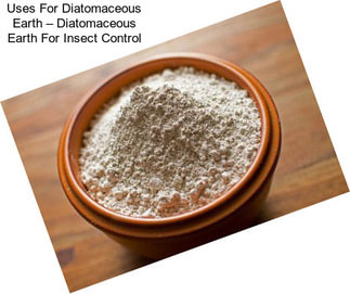 Uses For Diatomaceous Earth – Diatomaceous Earth For Insect Control