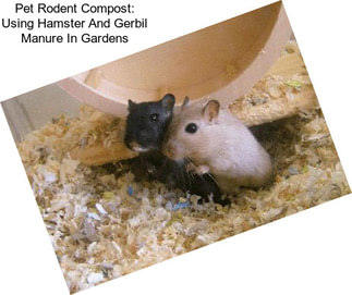 Pet Rodent Compost: Using Hamster And Gerbil Manure In Gardens