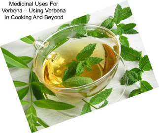 Medicinal Uses For Verbena – Using Verbena In Cooking And Beyond