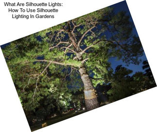 What Are Silhouette Lights: How To Use Silhouette Lighting In Gardens