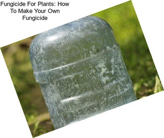 Fungicide For Plants: How To Make Your Own Fungicide