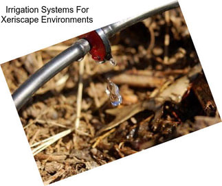 Irrigation Systems For Xeriscape Environments