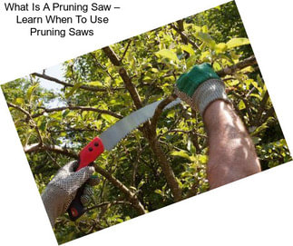 What Is A Pruning Saw – Learn When To Use Pruning Saws