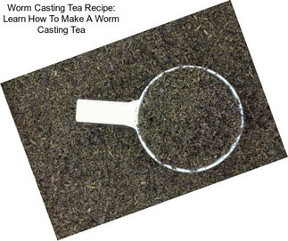 Worm Casting Tea Recipe: Learn How To Make A Worm Casting Tea