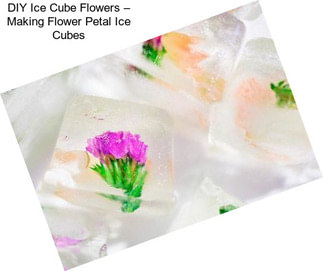 DIY Ice Cube Flowers – Making Flower Petal Ice Cubes