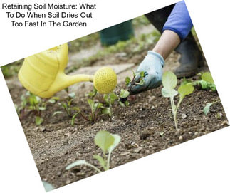 Retaining Soil Moisture: What To Do When Soil Dries Out Too Fast In The Garden