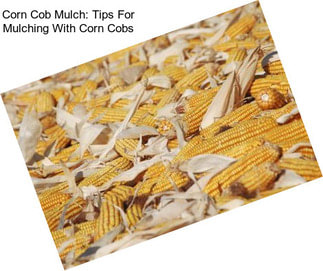 Corn Cob Mulch: Tips For Mulching With Corn Cobs