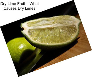 Dry Lime Fruit – What Causes Dry Limes