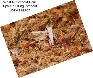 What Is Coconut Coir: Tips On Using Coconut Coir As Mulch