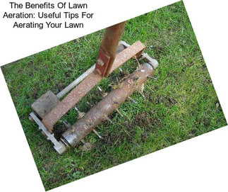 The Benefits Of Lawn Aeration: Useful Tips For Aerating Your Lawn